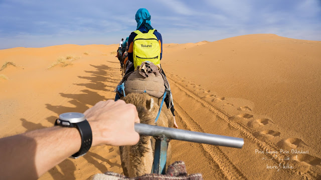 morocco sahara desert camel ride