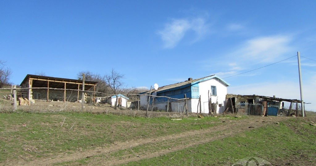 собачьи бои туркменский волкодав. таш хан белогорск крым. зак хан бодибилдер силовые показатели. акгуш туркменский алабай. акхан.