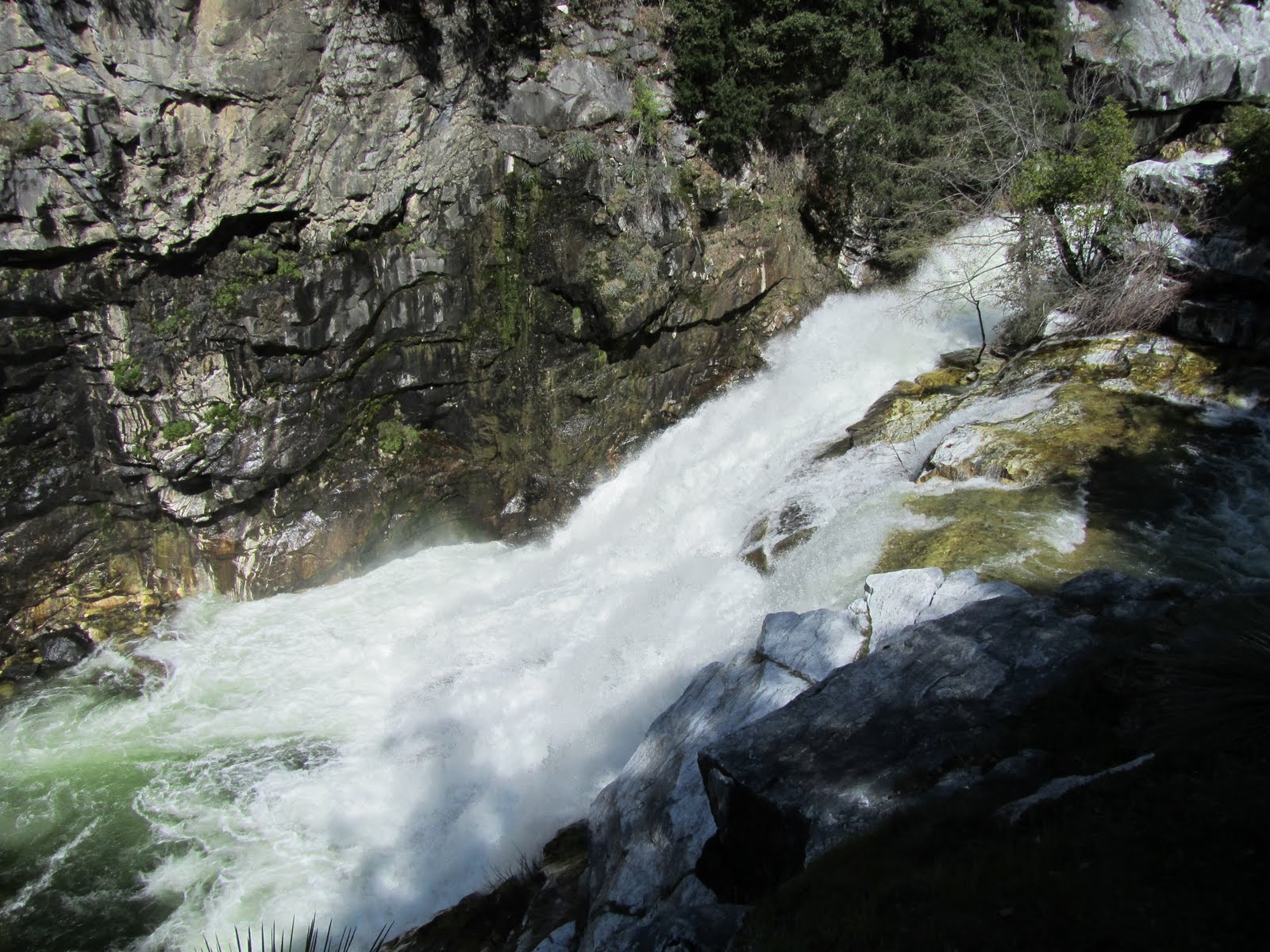 Alta Dawn Marble Falls