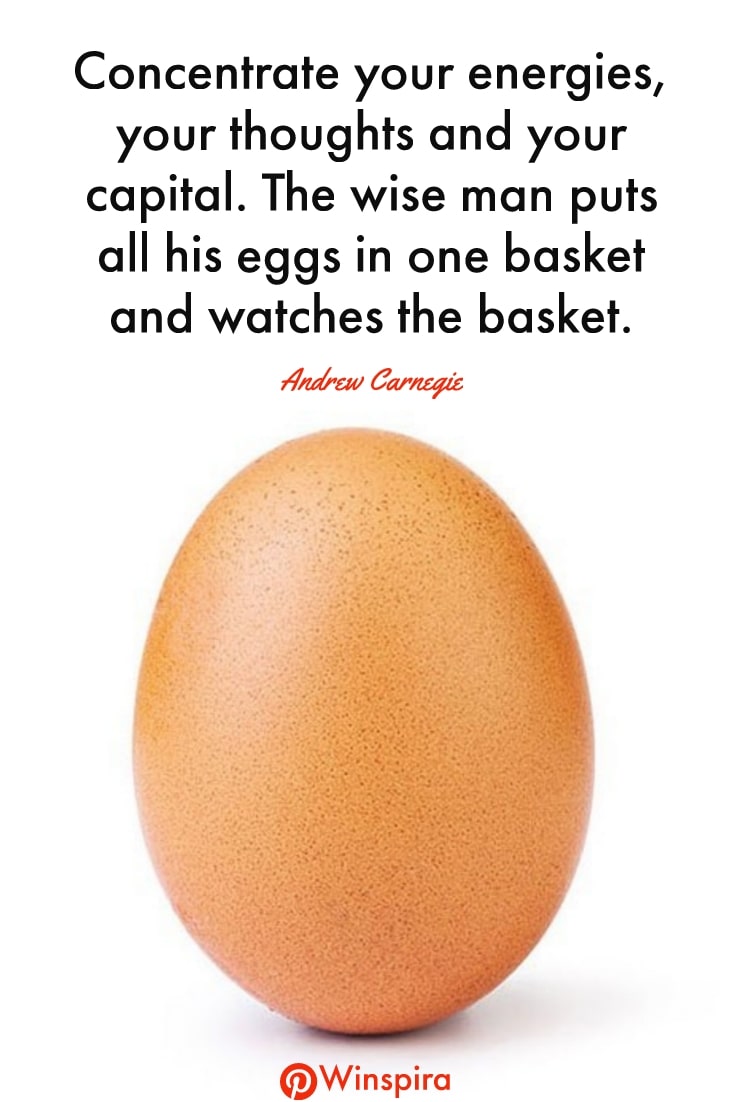 24 Quotes About Ordinary Eggs