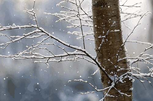 Related image