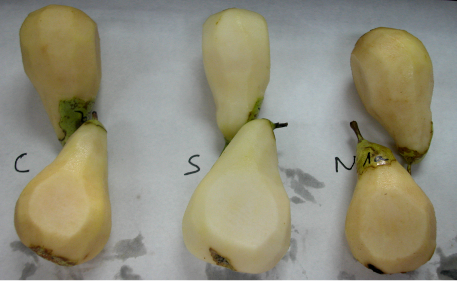 Soluciones Postcosecha Eugenol como alternativa a la etoxiquina en