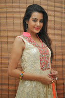 HeyAndhra Deeksha Panth Latest Photos gallery HeyAndhra.com
