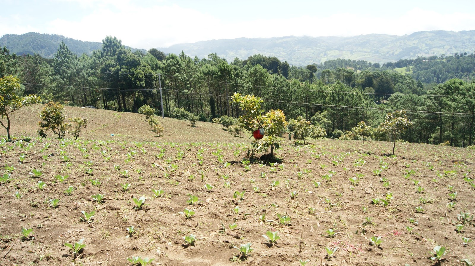 Venta de Terrenos en Miramundo Chalatenango El Salvador Venta Terrenos