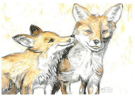 Two Foxes pic