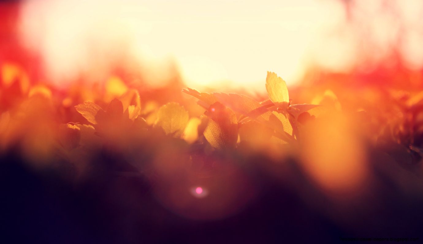 to be plentiful — Plentiful Philanthropy