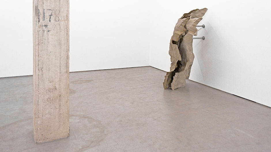 a f a s i a Carlos Irijalba