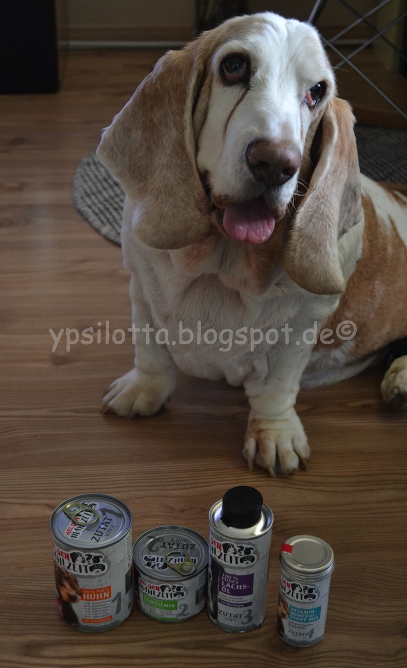 hühnerbrühe hund