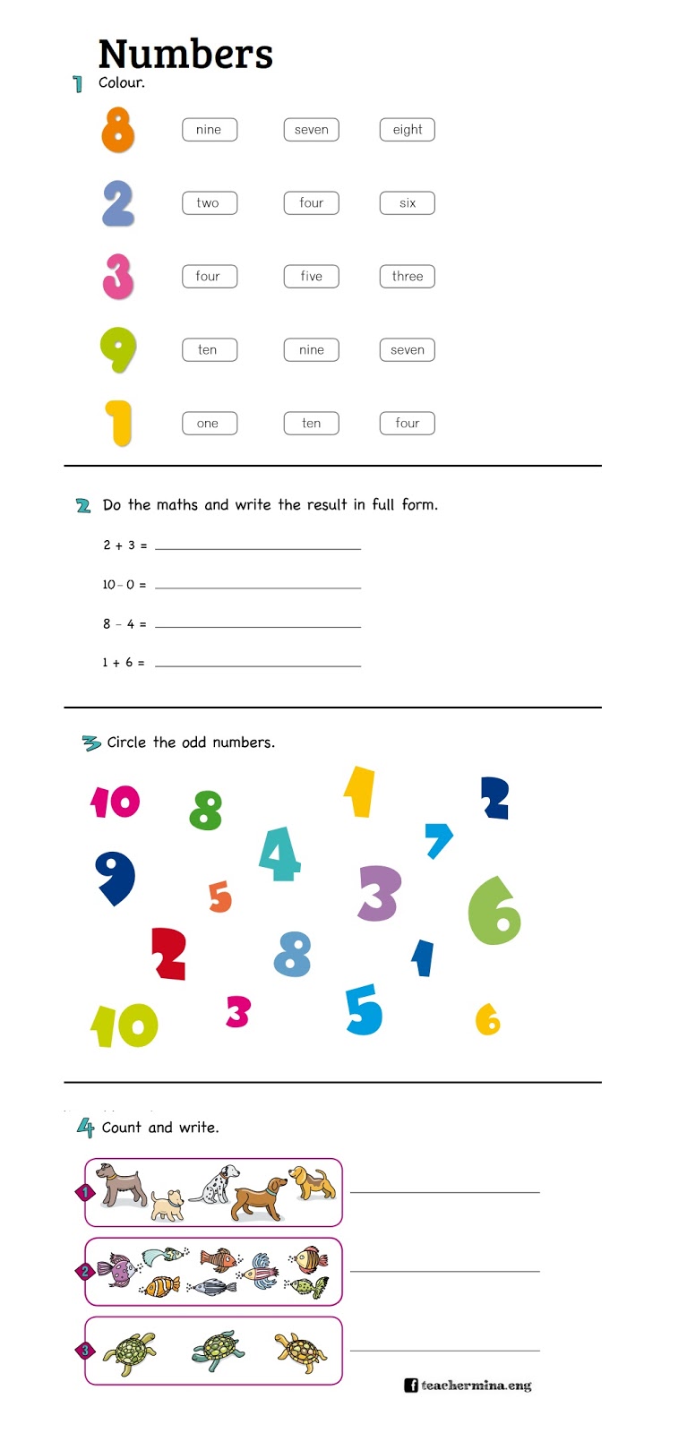 teachermina-activity-numbers