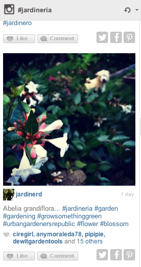 Herramienta de gestión de Instagram Herramienta de gestión de Instagram