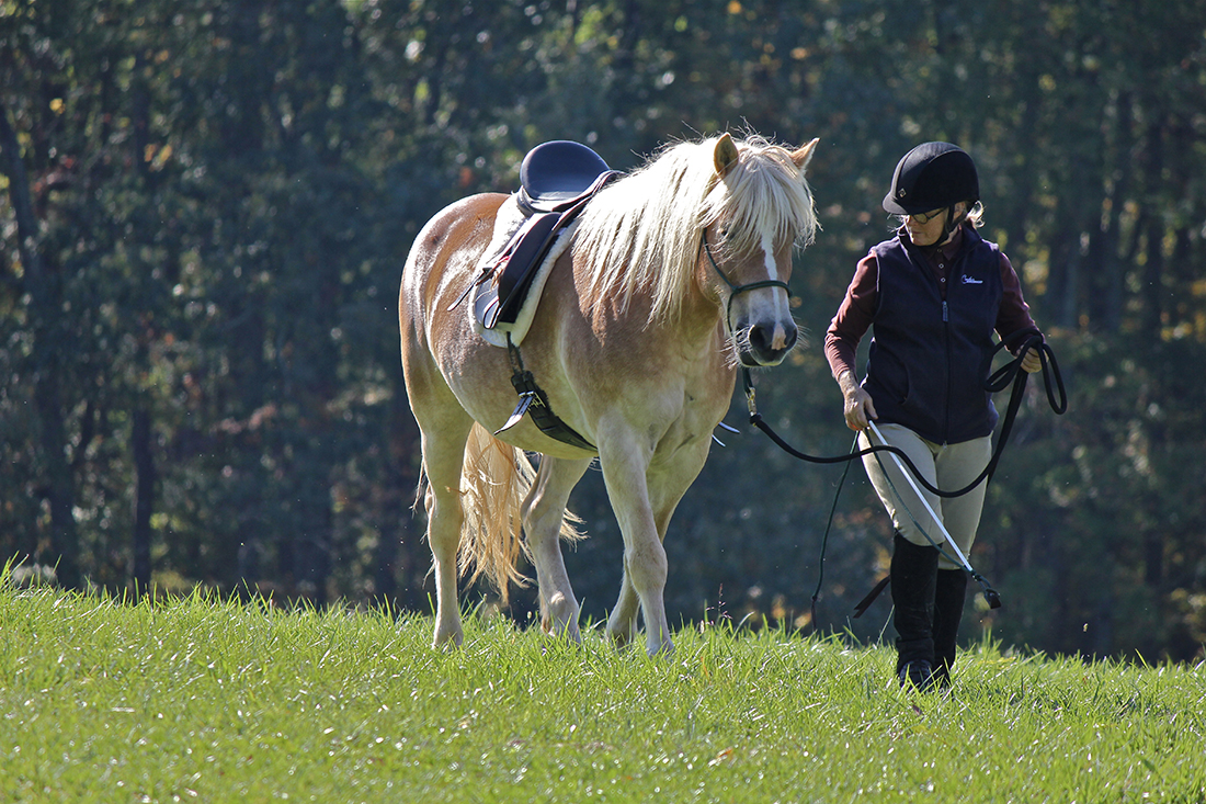 Just Horses Cooler Horsemanship Trail Riding Clinic