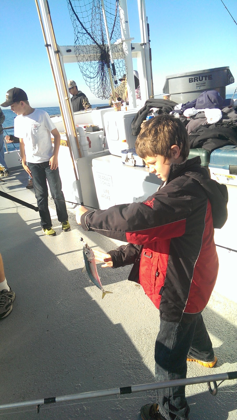 Dana Wharf Fishing