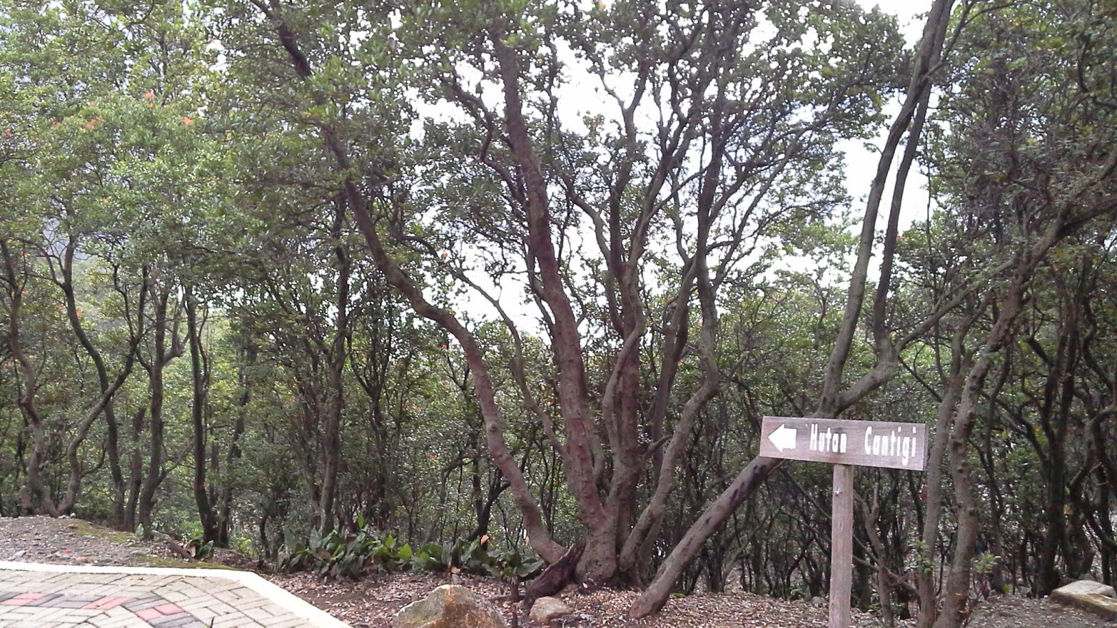 Kawah Putih, Kabupaten Bandung