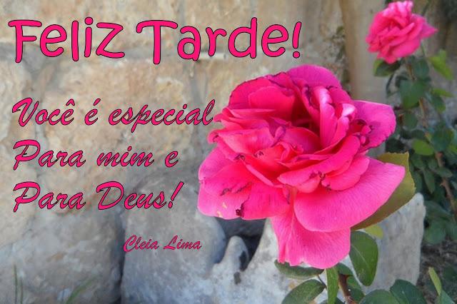 Boa%2Btarde%2B1%2Bdez%2B16.jpg