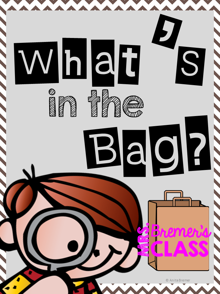 Mrs. Bremer's Class Mystery Bags