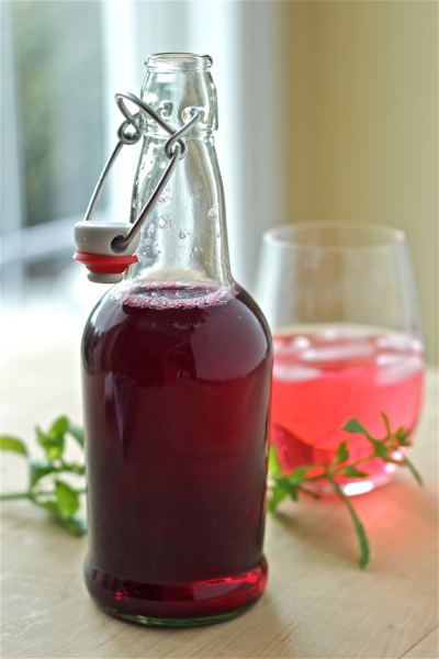 homemade blueberry vinegar and shrub