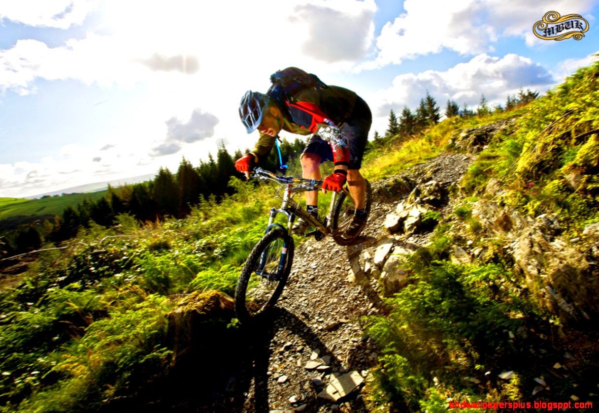 Mountain bike downhill wallpapers  Life cicles AVI   Taringa
