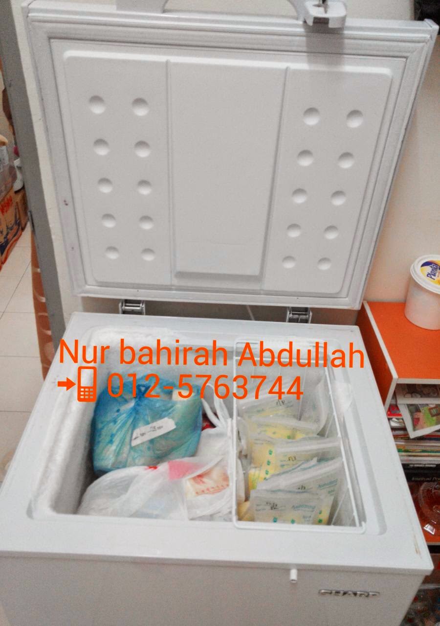 PERLU SANGAT KE DEEP FREEZER UNTUK IBU MENYUSU SIMPAN STOK?? Butik