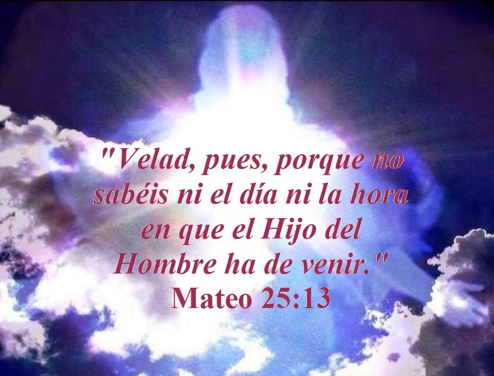 Sigo Al Maestro Enero 2014 sigo-al-maestro-enero-2014