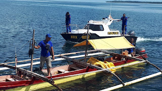 Marak Ledakan Biota Laut Terancam