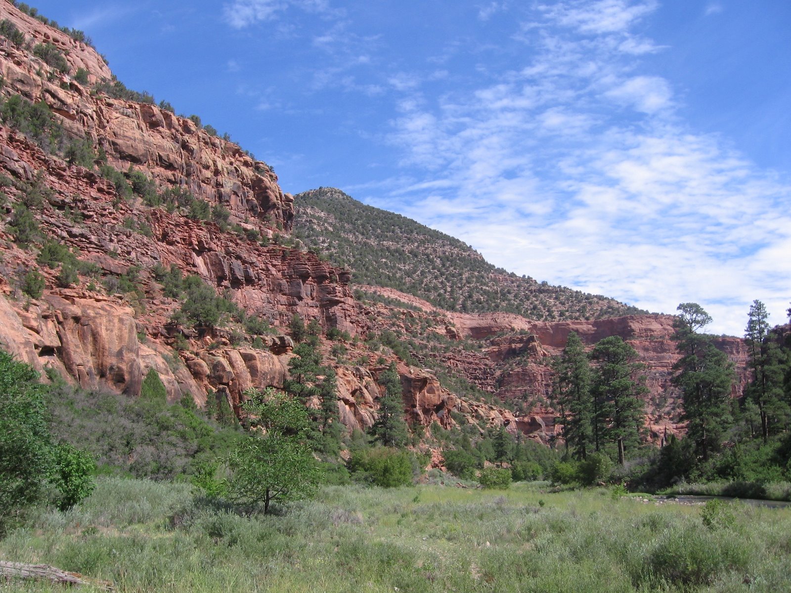 Four Corners HikesDolores River Valley Colorado Dolores River Canyon