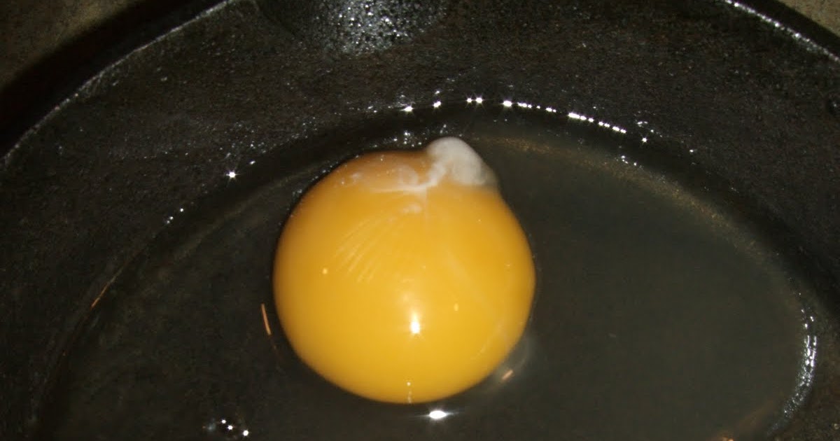 Pam's Backyard Chickens Backyard Chicken Eggs Better All Around