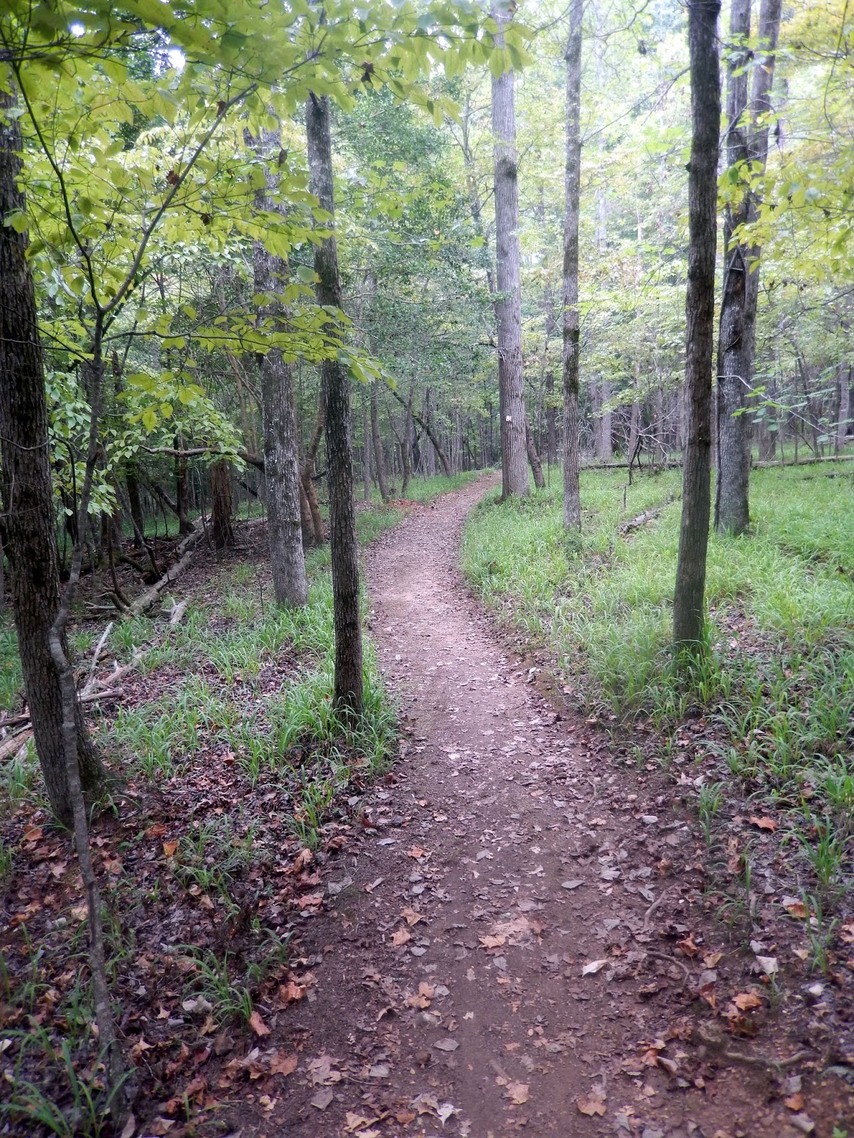 Hiking with a Fat Bald White Guy Morrow Mountain State Park Fall Mountain