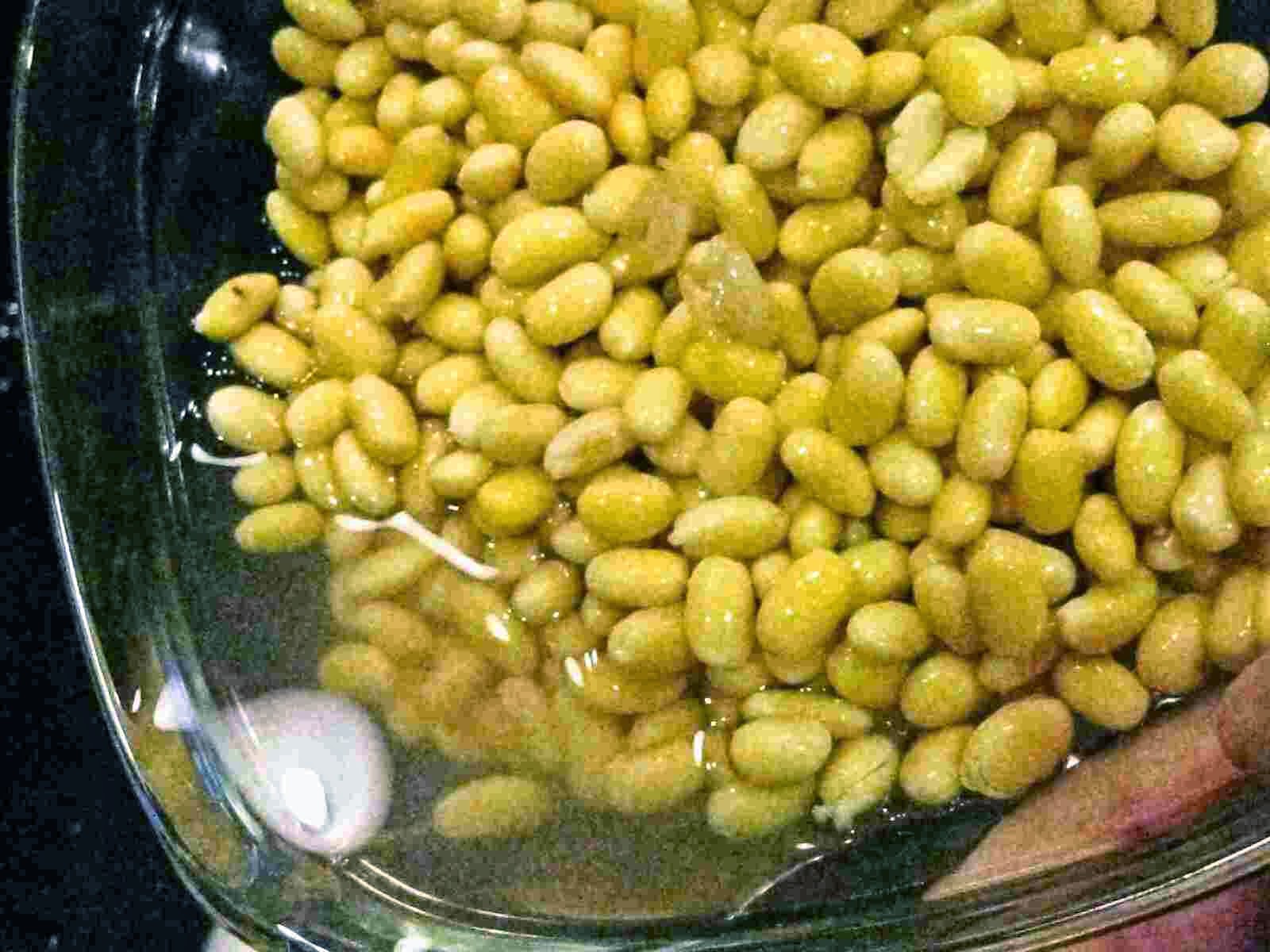 Recipes for Tom Tonyu, okara / soy milk and soybean pulp