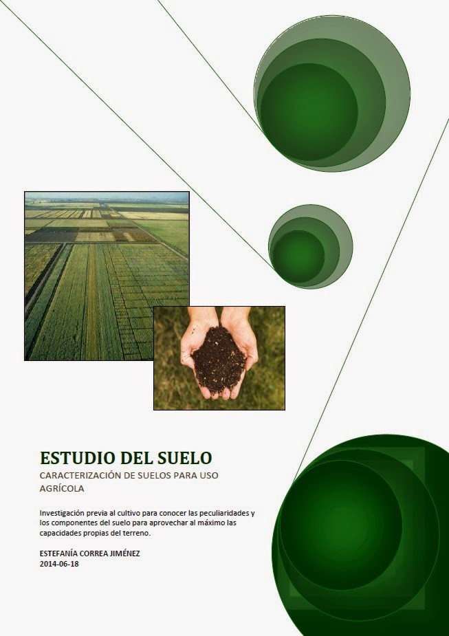 https://sites.google.com/site/fernandomarati/pdf/EstefanC3ADa20Correa.compressed.pdf