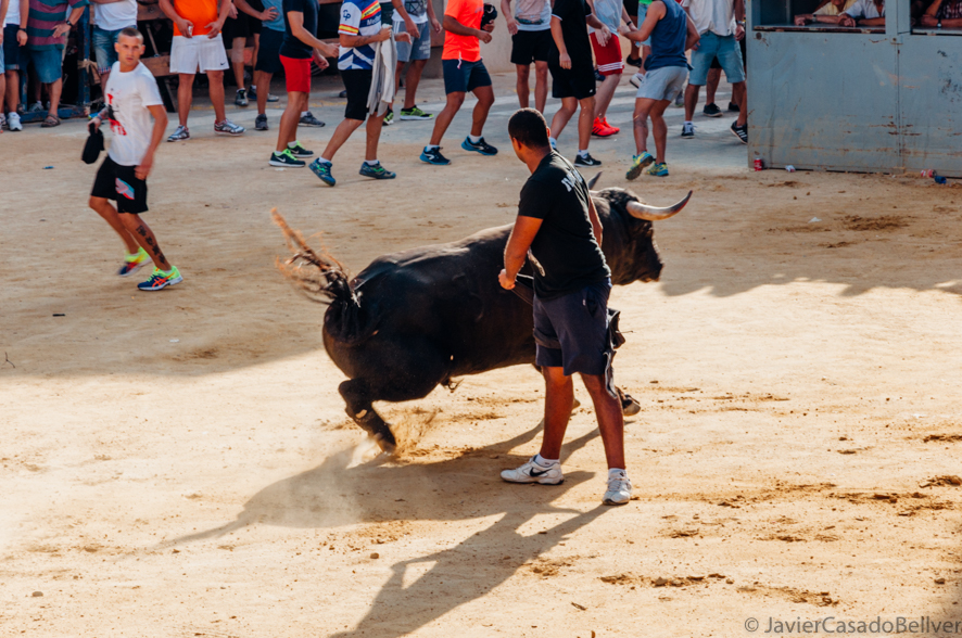 toros en Valencia