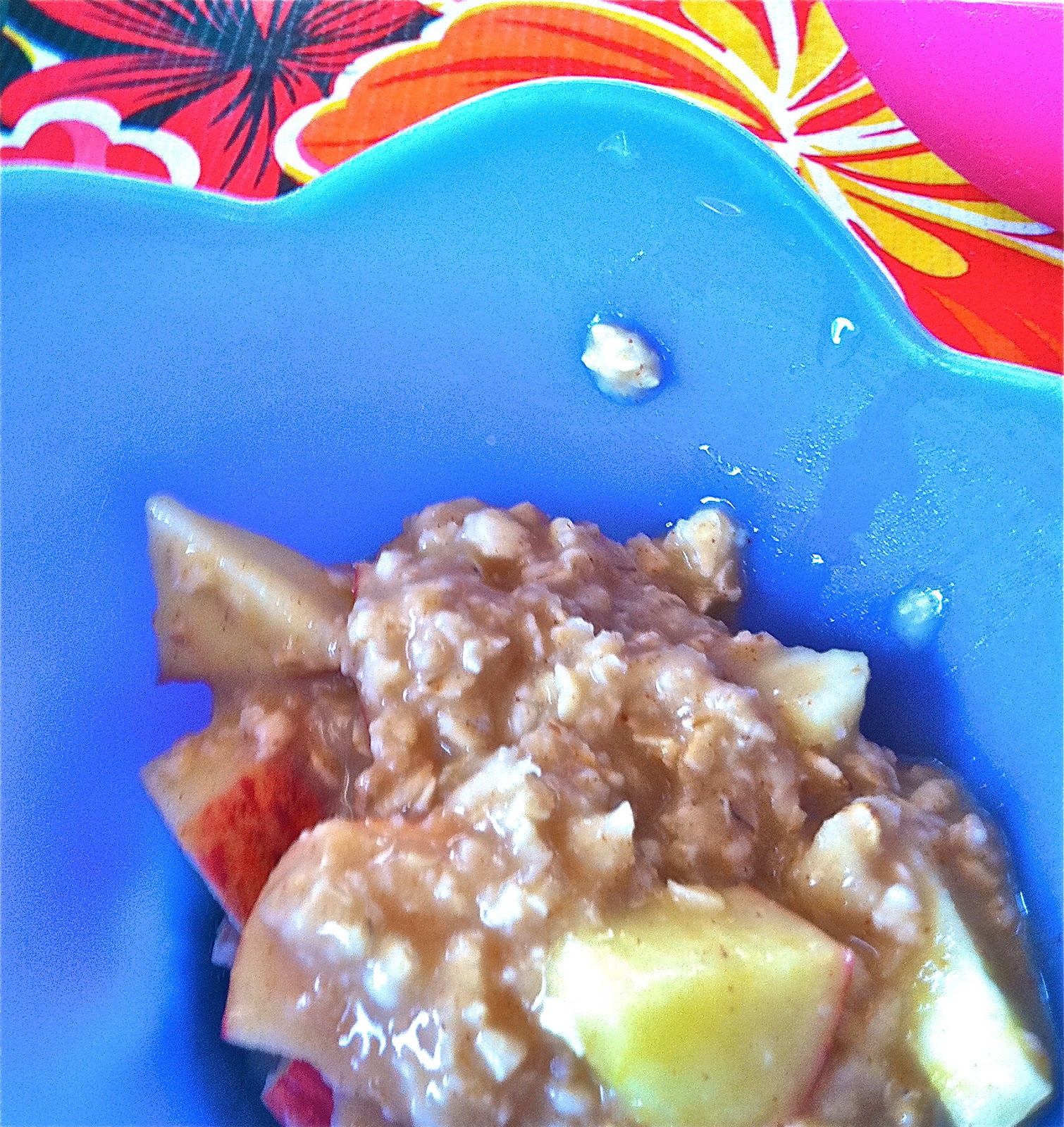 bay-view-nutrition-apple-oatmeal