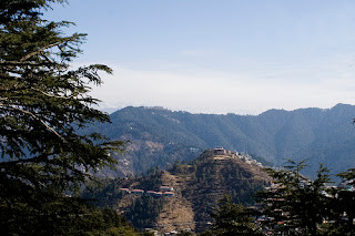 Jakhu Hills - Shimla