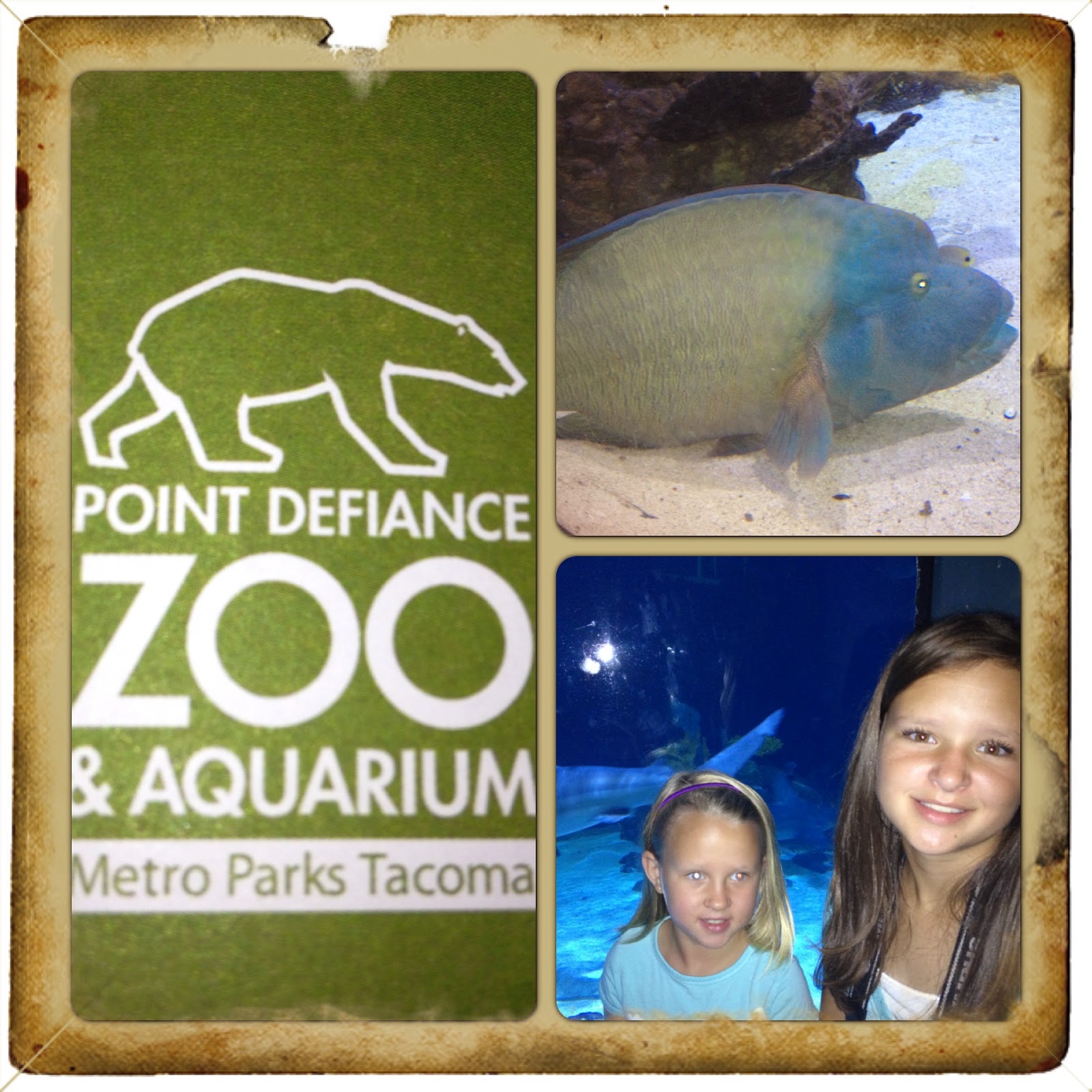 Enjoying the Journey Point Defiance Zoo