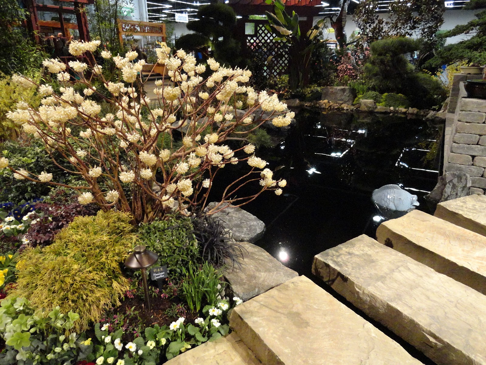 paradis express Danger Garden at the Portland Garden show