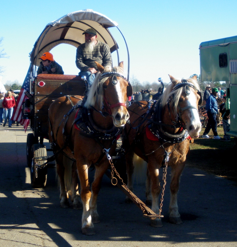 Pratie Place Dixie Draft Horse, Mule and Carriage Auction, Troutman NC