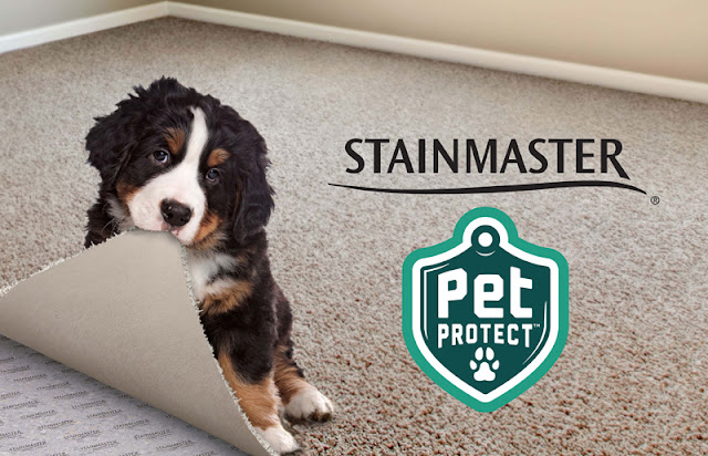 New features make carpet a great choice in homes with pets