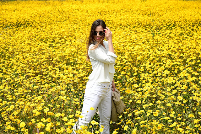 Daniela Sá Stylist & Consultora de Imagem