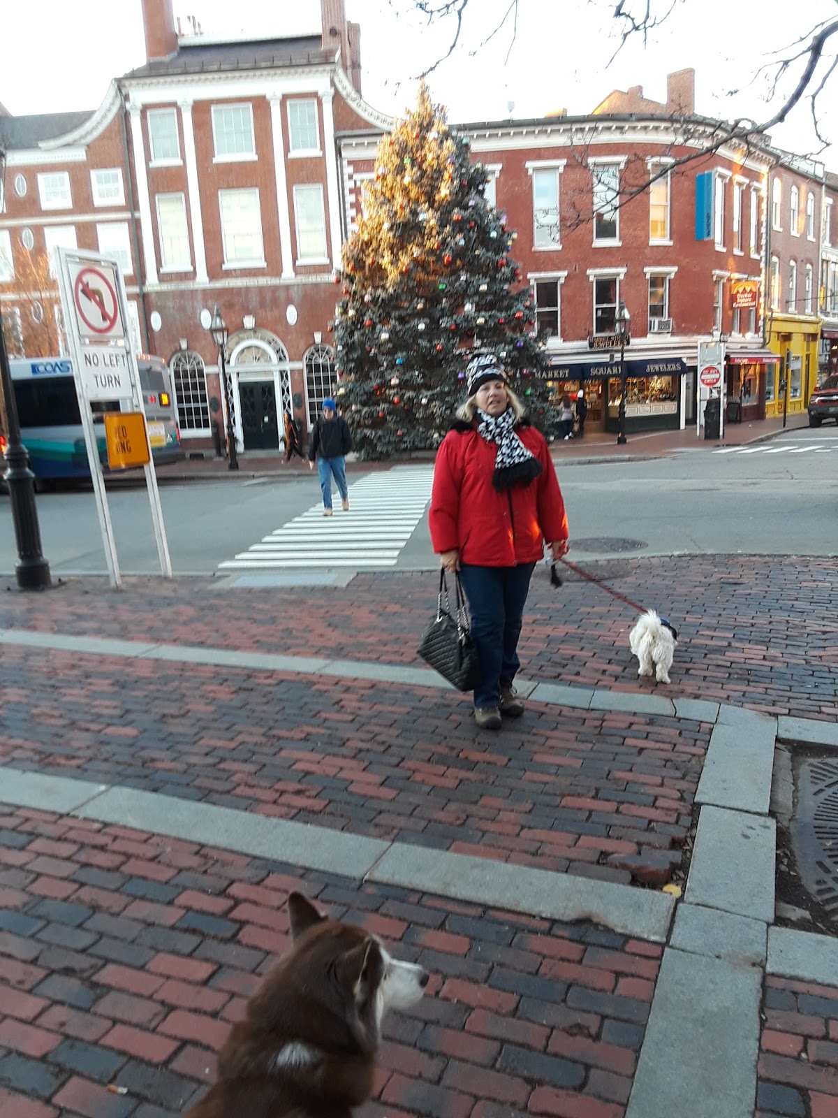 Dog Friendly Restaurants In Portsmouth Nh Dog Friendly Restaurants In Portsmouth Nh