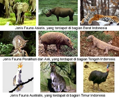Penyebaran Keanekaragaman Fauna di Indonesia