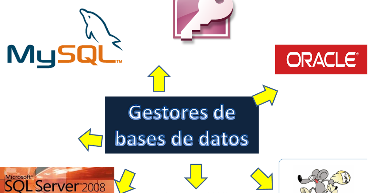 Software de aplicaci n ejecutivo 1 6 base de datos
