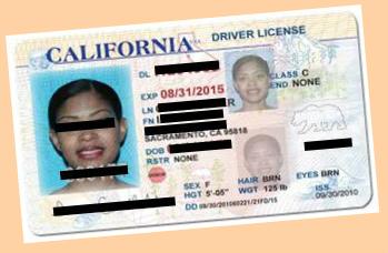 california driver permit