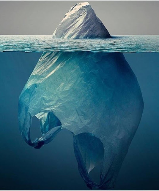 Zero Waste : The 28 day Plastic Purge Challenge