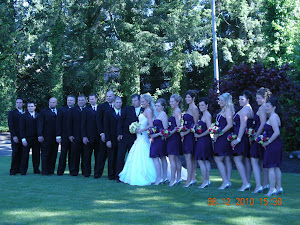 Brian and Alona' s Wedding