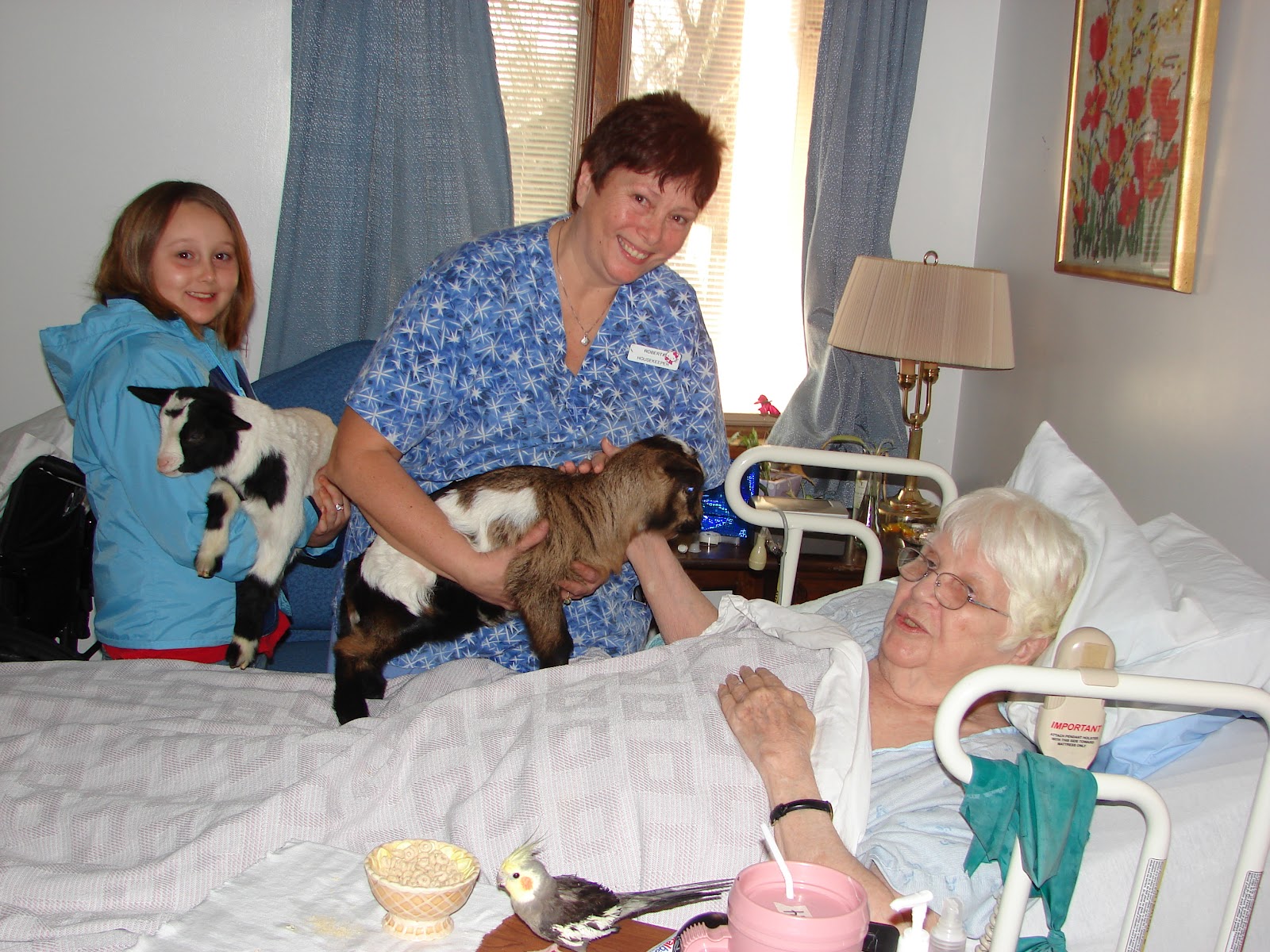 Life of a Rug Weaver First Trip to Nursing Home With Baby Goats