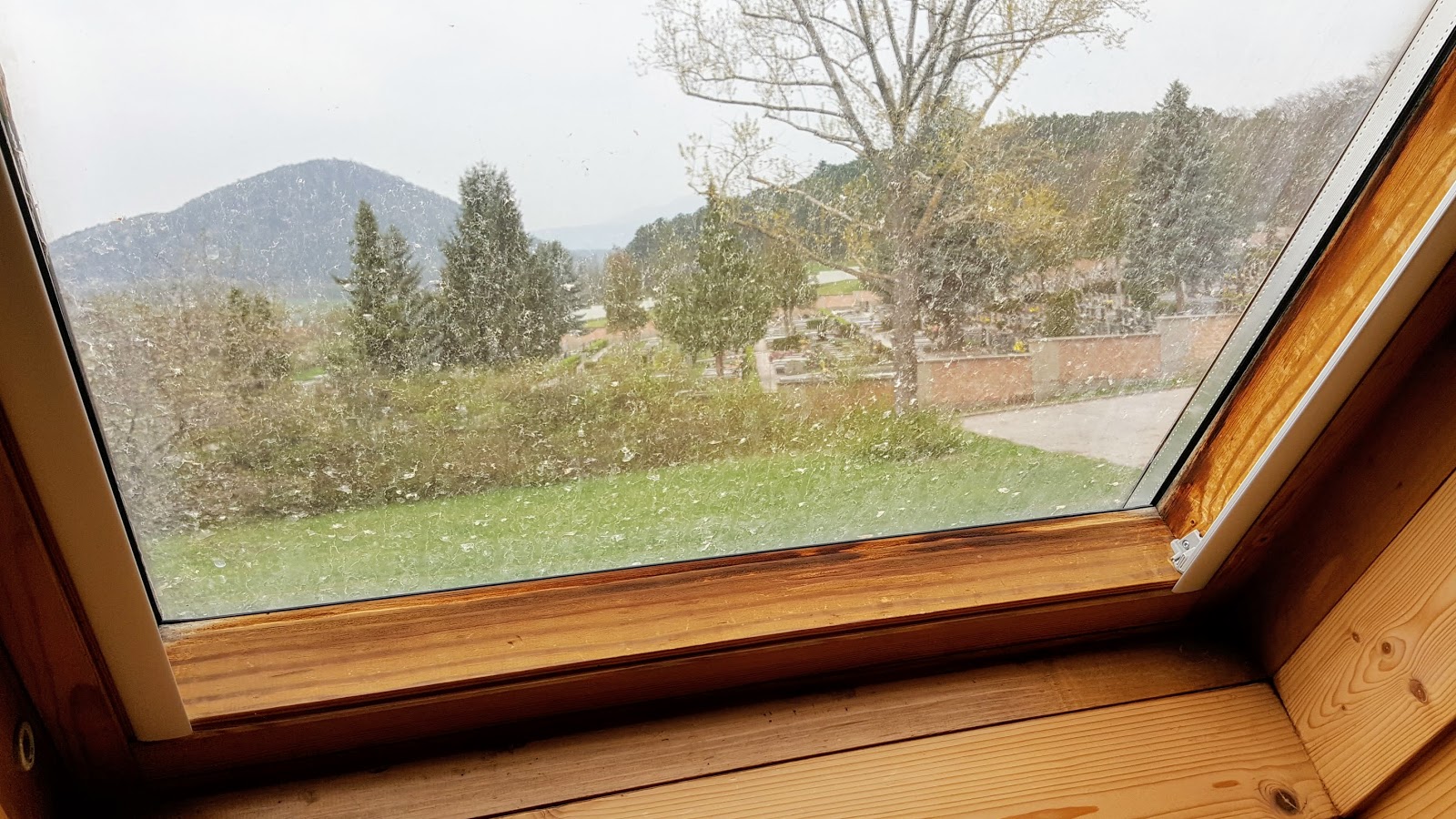 Ora International Osterreich Blog Februar 2014