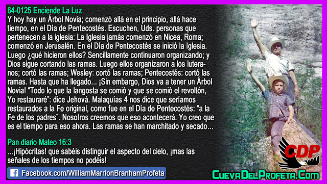 Dios va a tener un Árbol Novia - Citas William Branham Mensajes