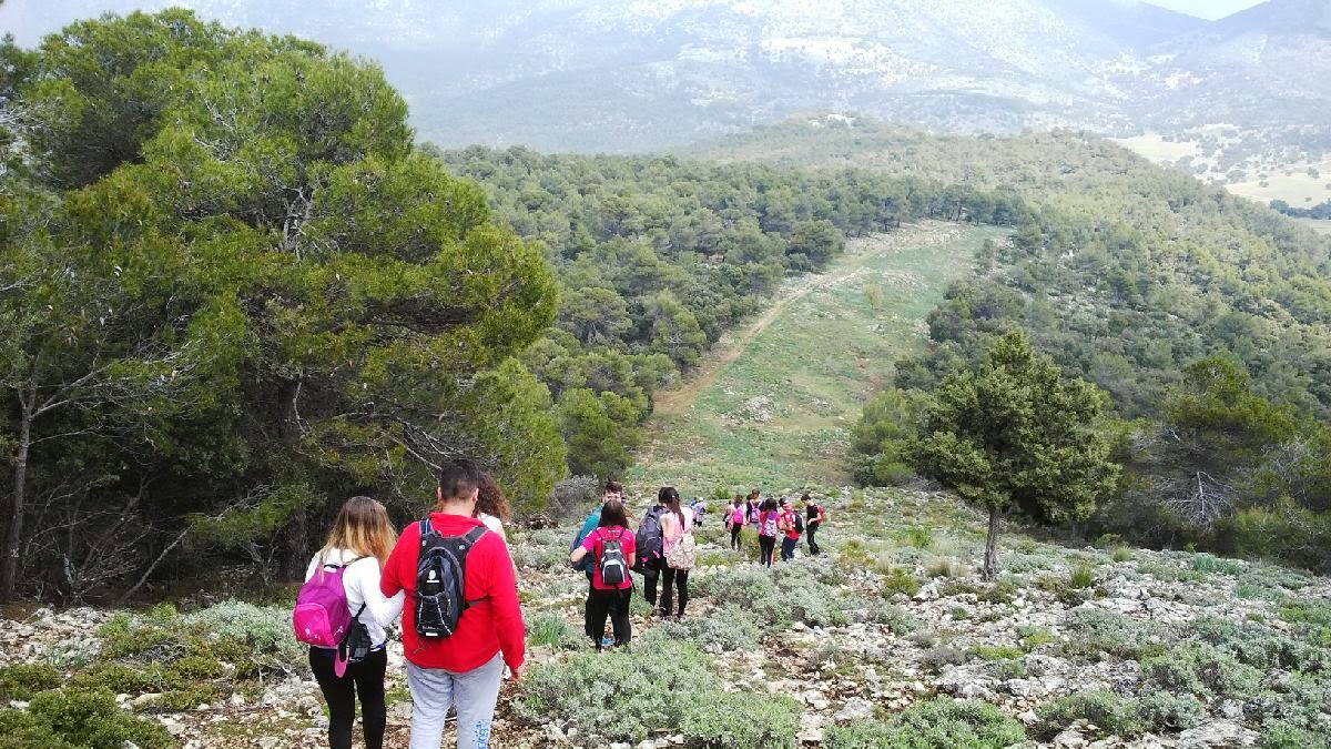 El blog de Andrés Navarro: CRECE CON TU ÁRBOL