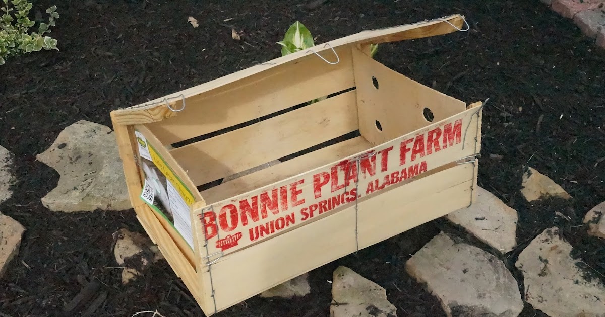 Free "Bonnie Plant Farm" Crate