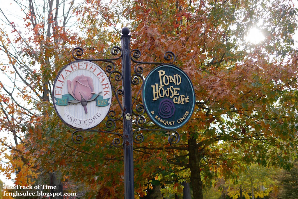 Autumn of the Elizabeth Park (3) The Track of Time