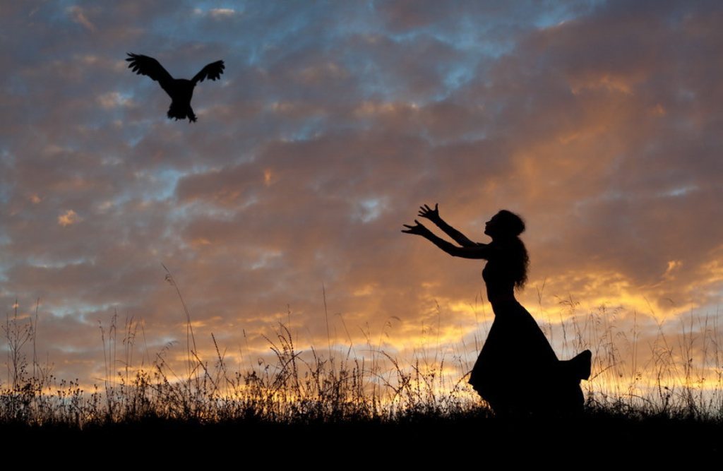 Девушка птица картинки